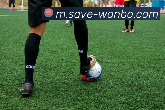 多媒体互动体验